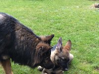 Shani und Xelie